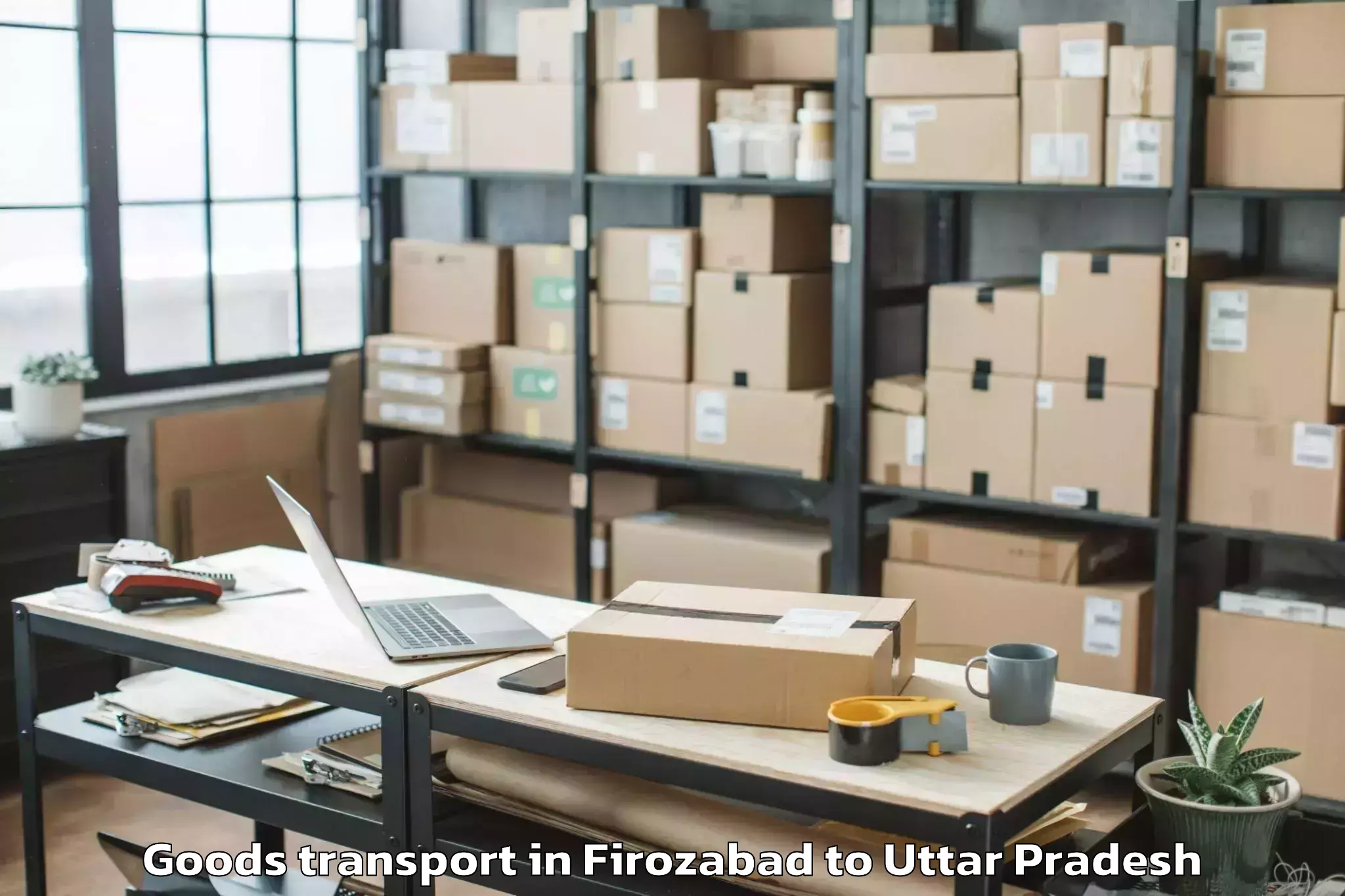 Professional Firozabad to Sampurnanand Sanskrit Vishvavi Goods Transport